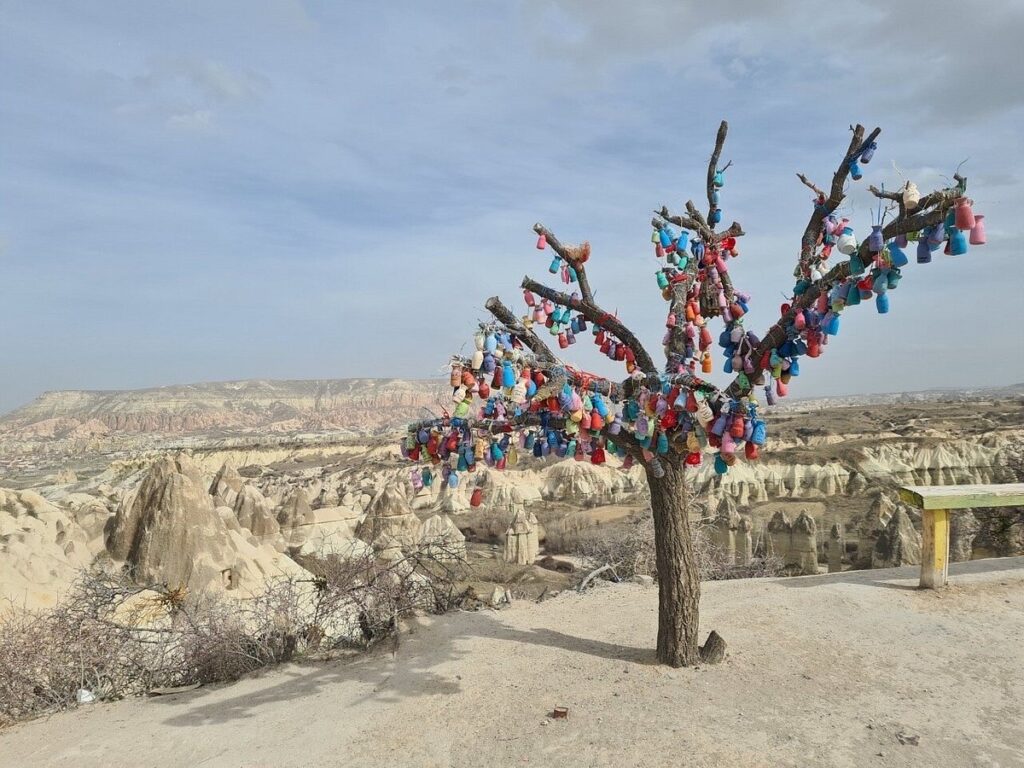 Image #2 from प्रिया कपूर