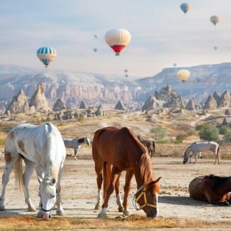 Private Guided Cappadocia Tour