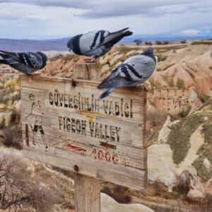 Pigeon Valley, a peaceful hiking destination in the heart of Cappadocia