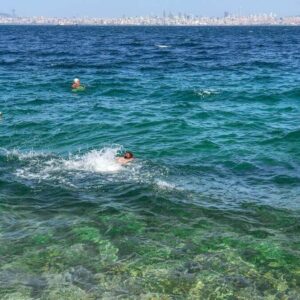 prince islands swimming tour by yacht