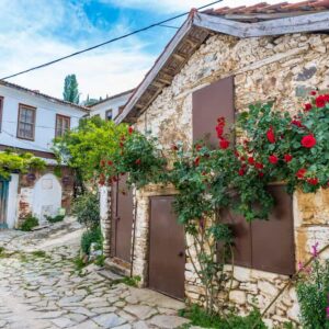 Capture authentic village life in Sirince