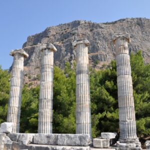 Priene Tours