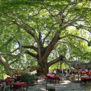 Bursa Tour – Where Culture Meets the Mountains