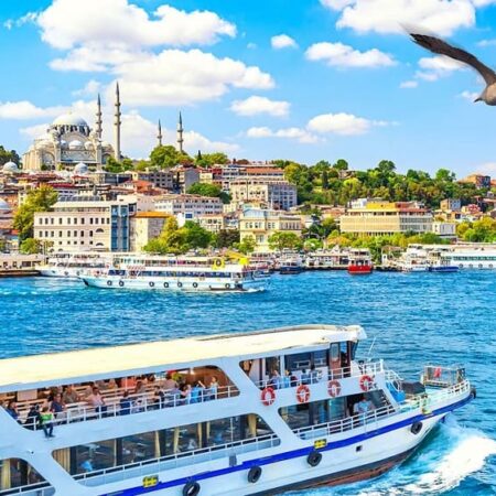 Afternoon Bosphorus Cruise Tour