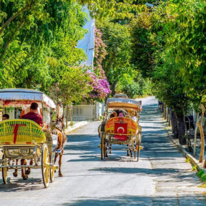 Horse-drawn carriages, quiet streets, and coastal charm on Büyükada
