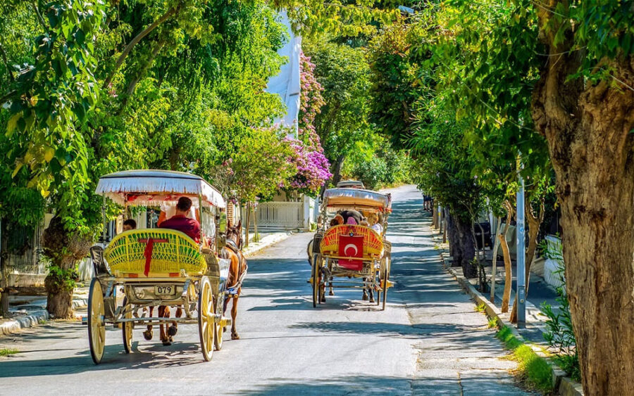 Horse-drawn carriages, quiet streets, and coastal charm on Büyükada