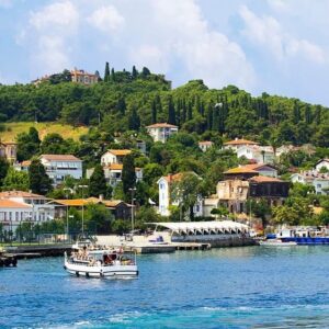 Watch seagulls soar as your ferry approaches the peaceful shores of Büyükada
