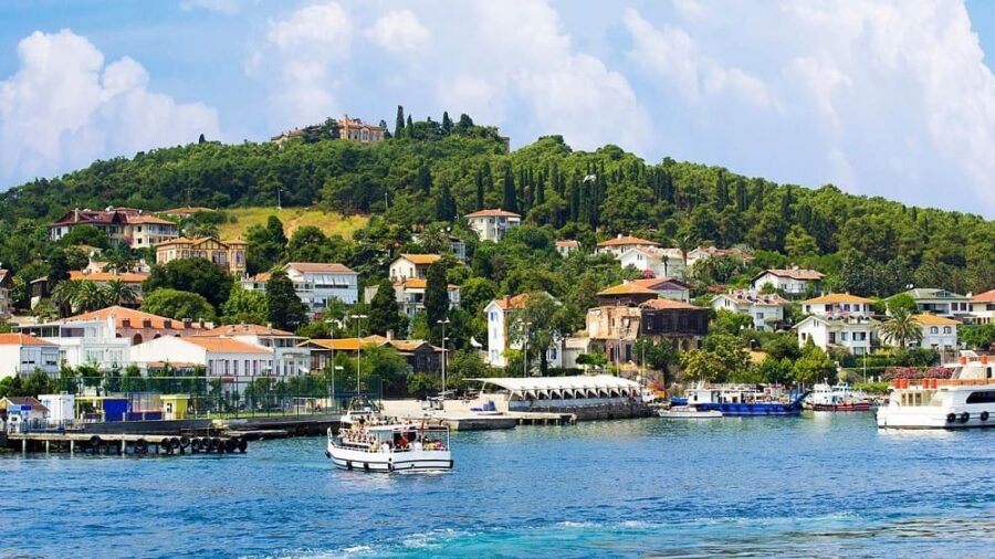 Watch seagulls soar as your ferry approaches the peaceful shores of Büyükada