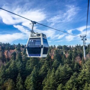 Green Bursa Full Day Tour