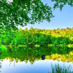 Sapanca & Masukiye—where Istanbulites come to recharge