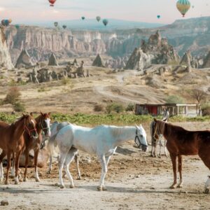 Explore Cappadocia’s Trails on Horseback